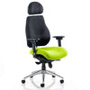 Dynamic Chiro Plus Ultimate Ergonomic 24Hr Executive Chair in Black with Myrrh Green seat