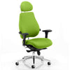 Dynamic Chiro Plus Ultimate Ergonomic 24Hr Executive Chair in Myrrh Green