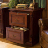 Baumhaus La Roque Two Drawer Filing Cabinet (IMR07A)
